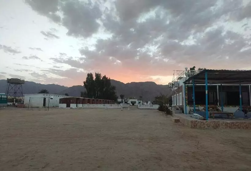 هتل Oasis Resort