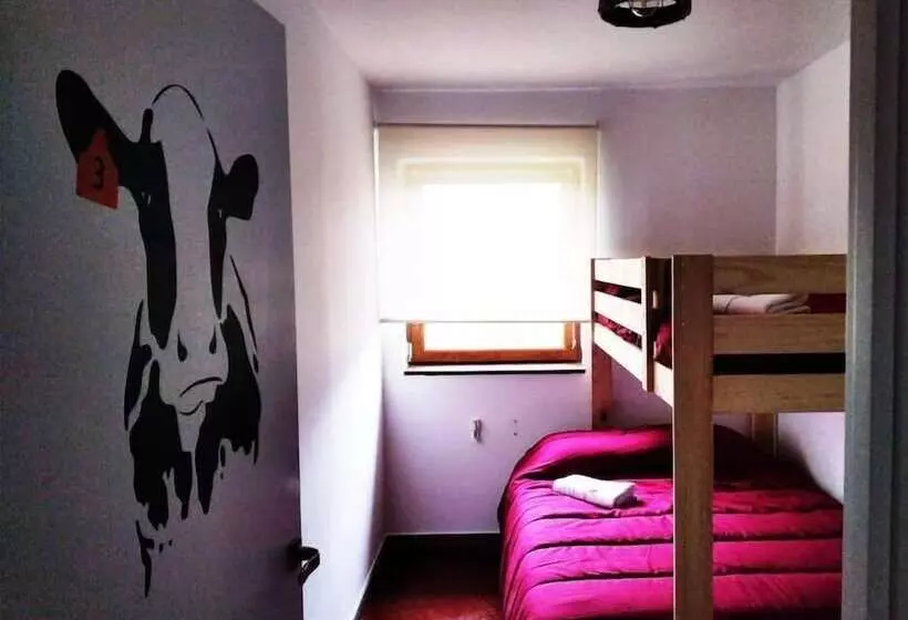 Albergue Casa Vacas
