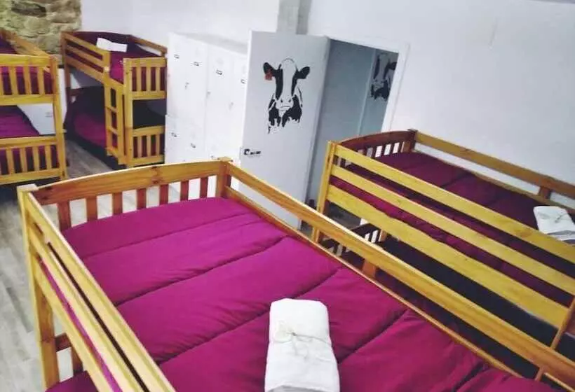 Albergue Casa Vacas