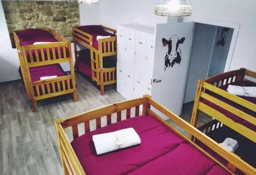Albergue Casa Vacas