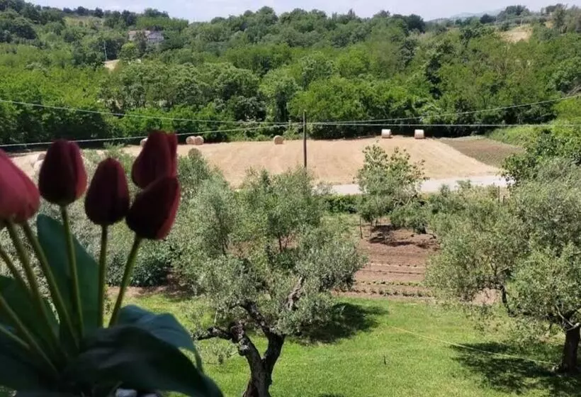 Aamiaismajoitus (B&B) Al Boschetto