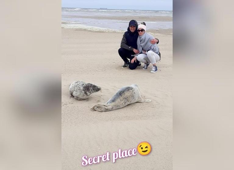 Bed and Breakfast Côte D Opale Chambre Cocooning