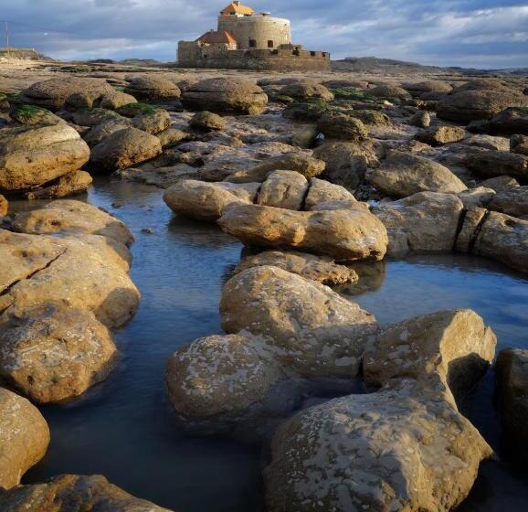 Bed and Breakfast Côte D Opale Chambre Cocooning