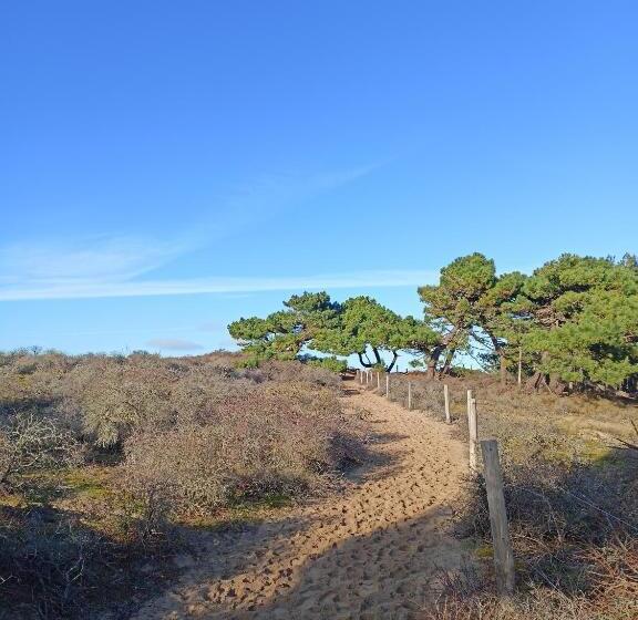 Bed and Breakfast Côte D Opale Chambre Cocooning