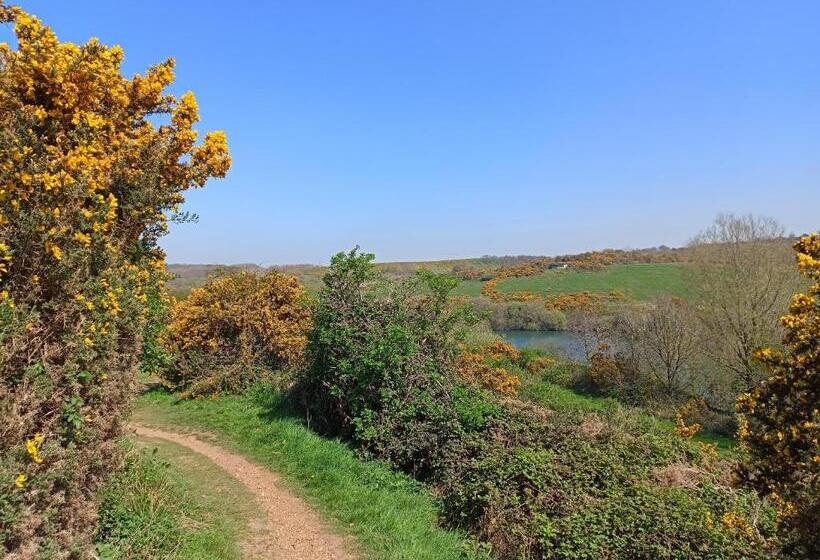 Bed and Breakfast Côte D Opale Chambre Cocooning