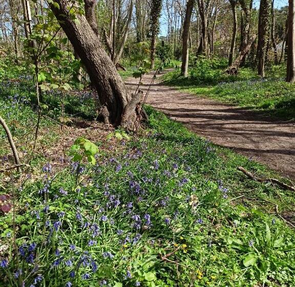 Bed and Breakfast Côte D Opale Chambre Cocooning