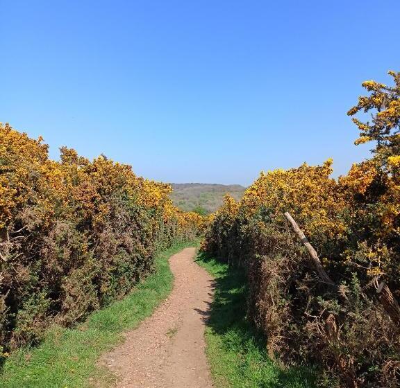 Bed and Breakfast Côte D Opale Chambre Cocooning
