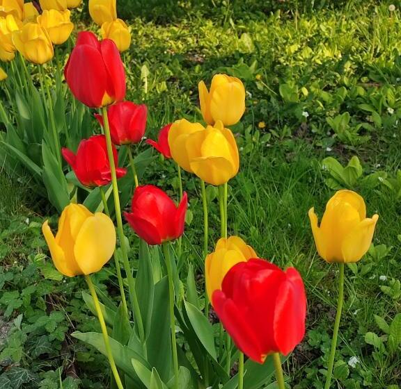 تختخواب و صبحانه Entre Meuse Et Forêt