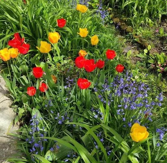 Aamiaismajoitus (B&B) Entre Meuse Et Forêt
