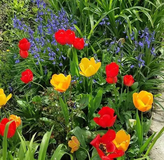 Aamiaismajoitus (B&B) Entre Meuse Et Forêt