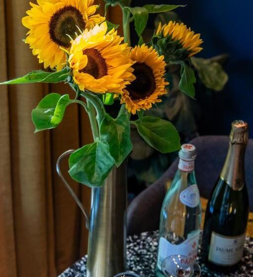 צימר Luxurious Residence In Vondelpark/museum District