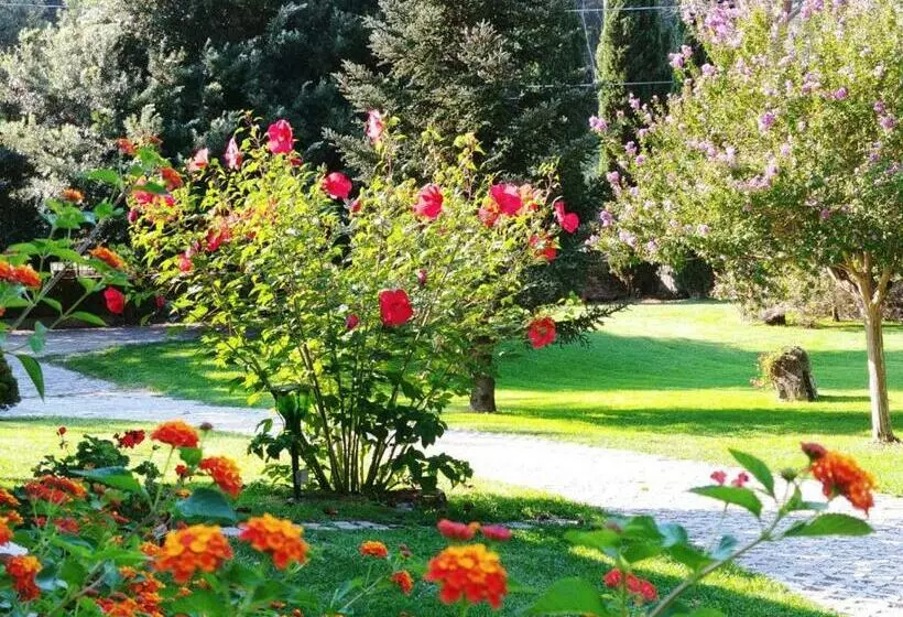 Aamiaismajoitus (B&B) Villa Lucilla