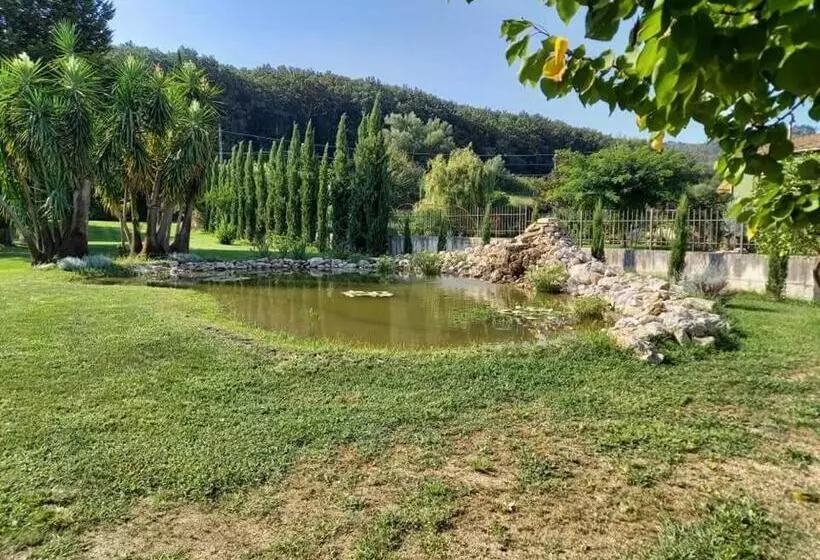 Aamiaismajoitus (B&B) Villa Lucilla