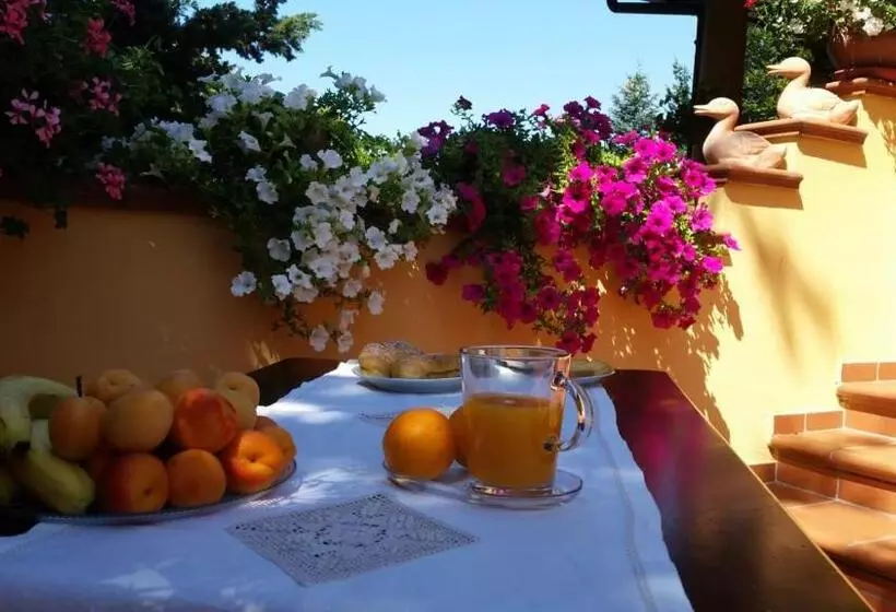 Aamiaismajoitus (B&B) Villa Lucilla