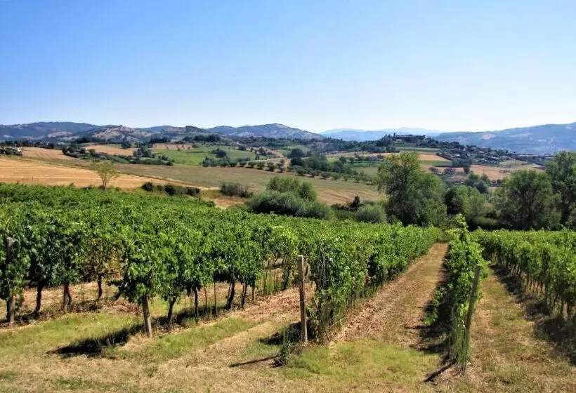 پانسیون Casa Con Vista Fantastica