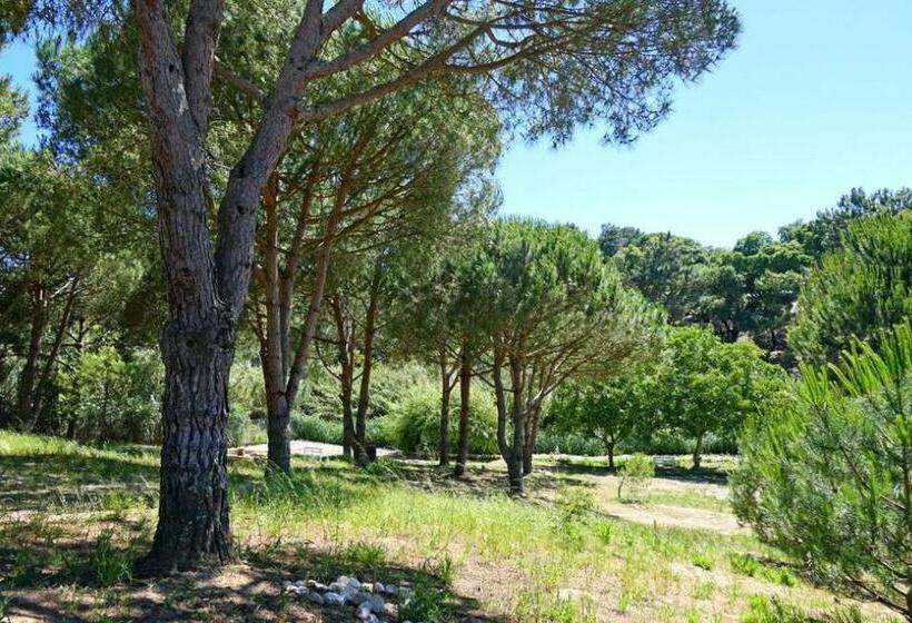 بنسيون Casa Meco