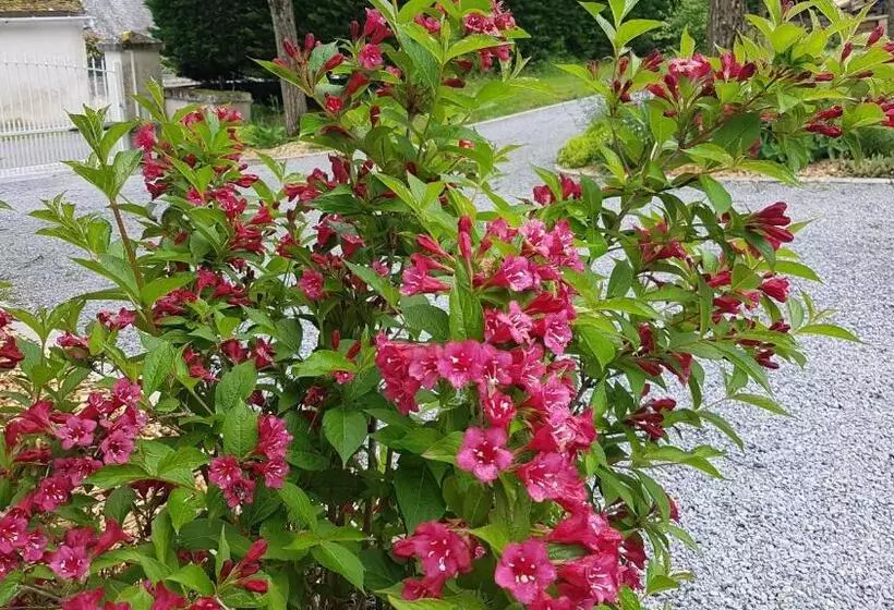 Majatalo Les Sept Tilleuls   Chambres D Hôtes