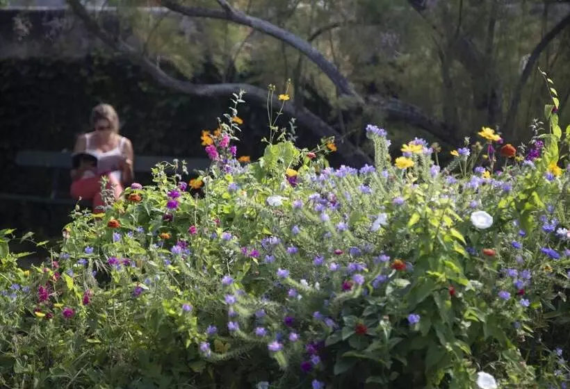 Majatalo Villa Juno   Saint Aubin Sur Mer   Côte De Nacre   Normandie   Plage Débarquement