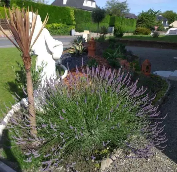 Aamiaismajoitus (B&B) 6bis Rue De La Boussaquiere St Broladre