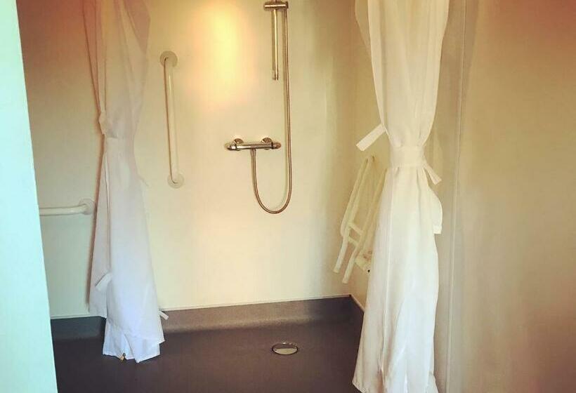 מוטל The Swan Inn Newport