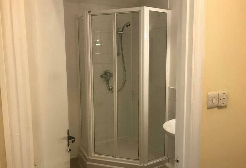 מוטל The Swan Inn Newport