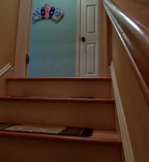 The Yellow Rose Of Talbot Bed And Breakfast