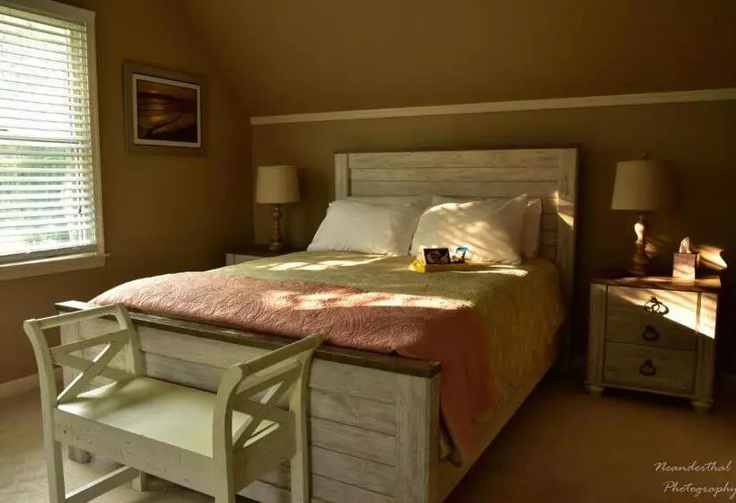 The Yellow Rose Of Talbot Bed And Breakfast