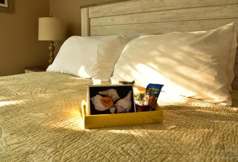 The Yellow Rose Of Talbot Bed And Breakfast