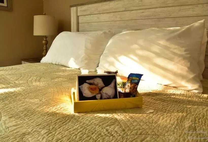 The Yellow Rose Of Talbot Bed And Breakfast