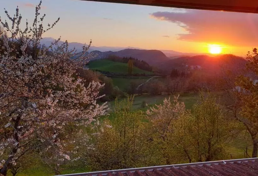 Aamiaismajoitus (B&B) I Bócci