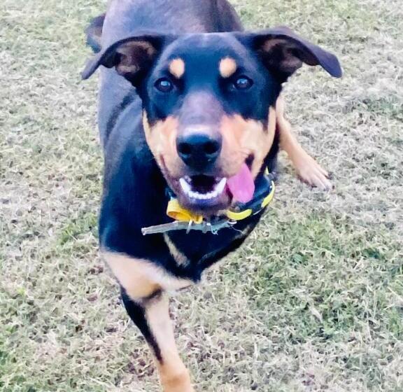 Bed and Breakfast Sandalwood Downs Fabulous Farm Stay Toodyay