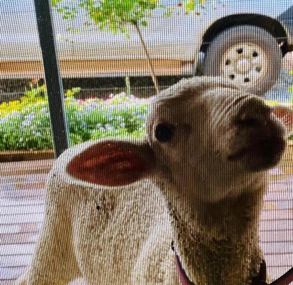 Bed and Breakfast Sandalwood Downs Fabulous Farm Stay Toodyay