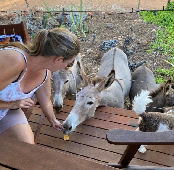 Bed and Breakfast Sandalwood Downs Fabulous Farm Stay Toodyay