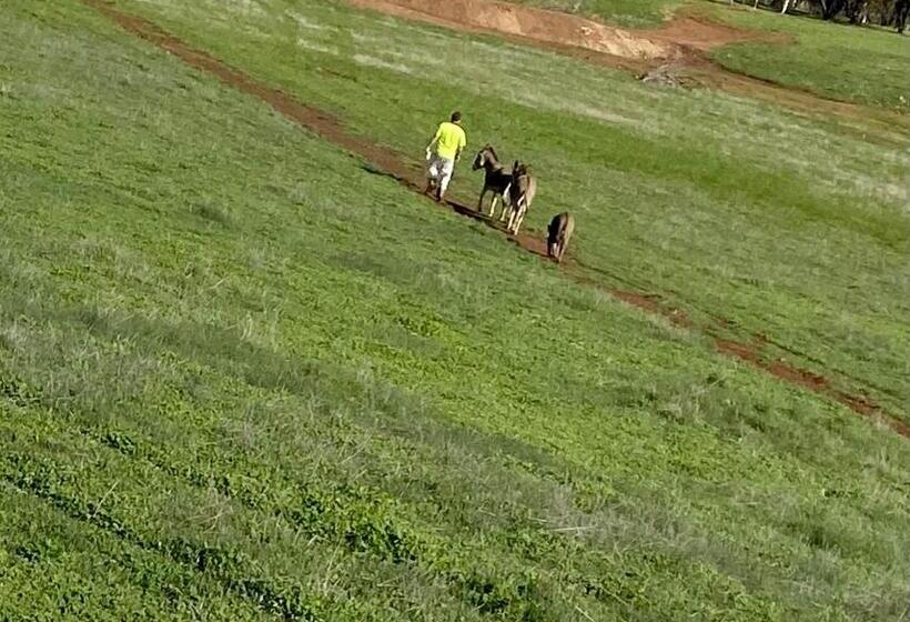 Bed and Breakfast Sandalwood Downs Fabulous Farm Stay Toodyay