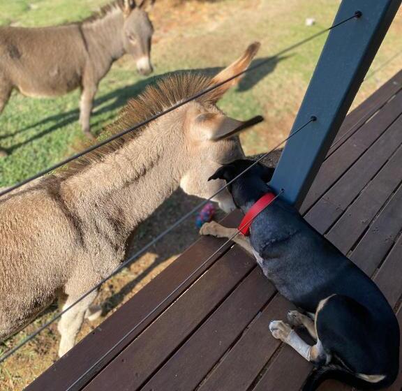 Bed and Breakfast Sandalwood Downs Fabulous Farm Stay Toodyay