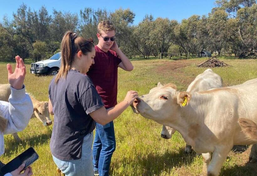 Bed and Breakfast Sandalwood Downs Fabulous Farm Stay Toodyay