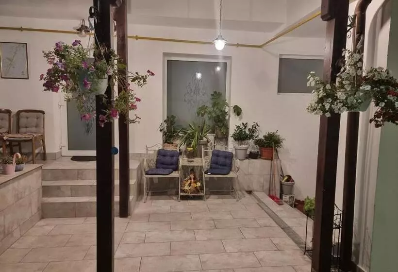 ペンション Casa Musceleana