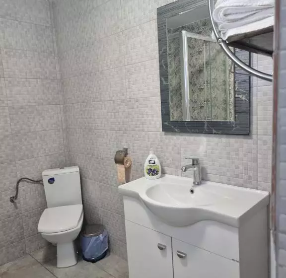 ペンション Casa Musceleana