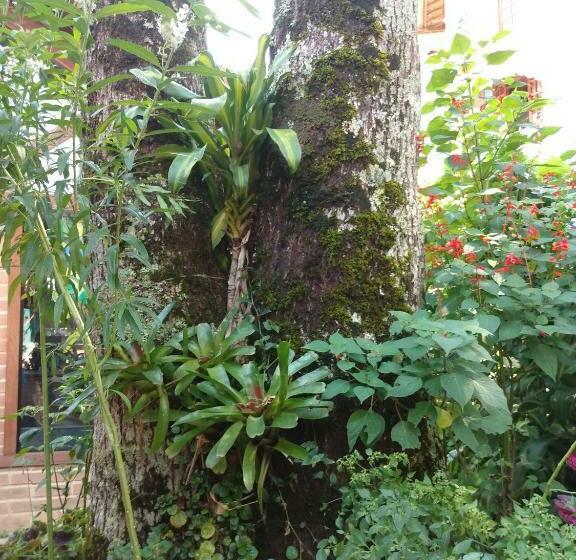 بنسيون Pouso Da Lua