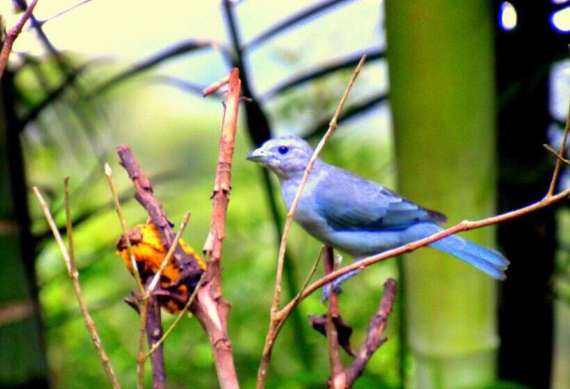 بنسيون Pouso Da Lua