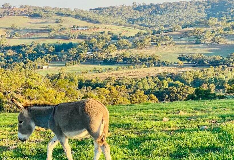 Bed and Breakfast Sandalwood Downs Fabulous Farm Stay Toodyay