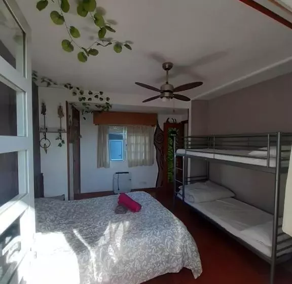 הוסטל La Casa Verde