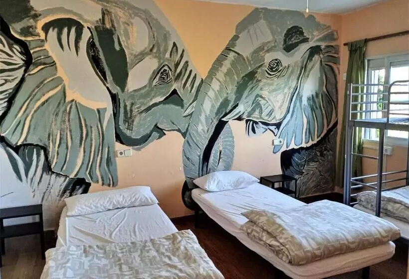 הוסטל La Casa Verde