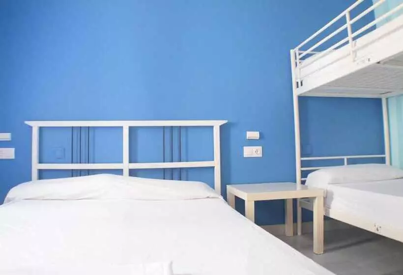 הוסטל Hostal Baobab