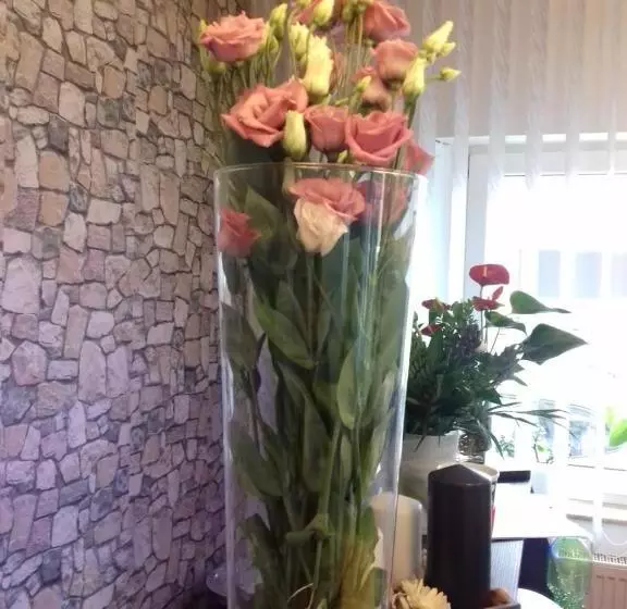 Отель Holmbecks