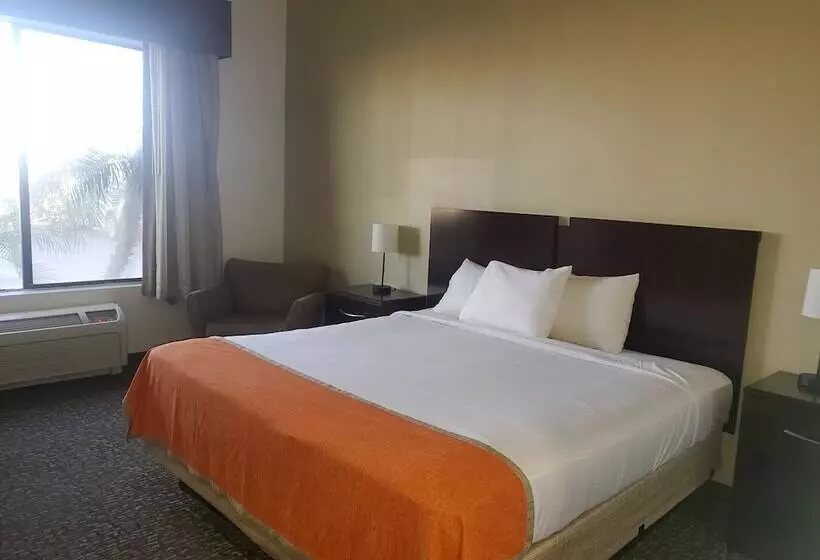 Hotel Spark By Hilton Phoenix East Mesa