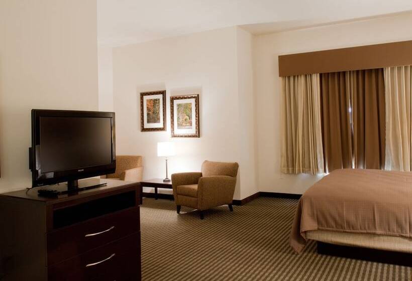 Hotel Spark By Hilton Phoenix East Mesa