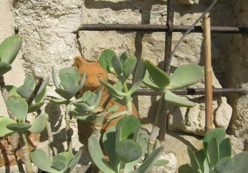 هتل Les Jardins De La Livrée