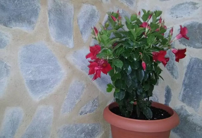 Haraki Memories Beach Studios