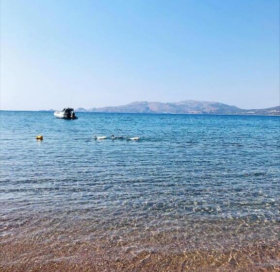 Haraki Memories Beach Studios